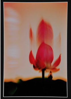 「昇華」 杉立 好正