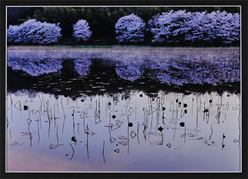 第52回滋賀県写真展覧会特選「春望」大島 喜八郎