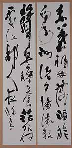 第67回滋賀県美術展覧会(書の部)特選「秋江」