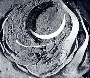 第71回滋賀県美術展覧会(平面の部)特選「COSMIC FORCE」